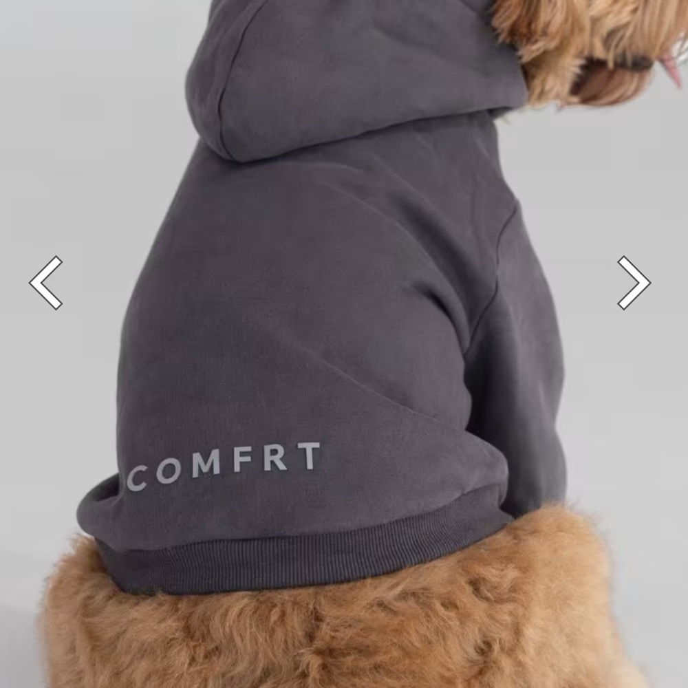 Comfrt Gray Dog Hoodie